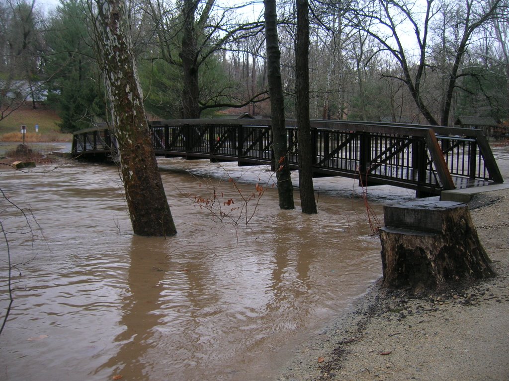 Pennypack High Water at Lorimer