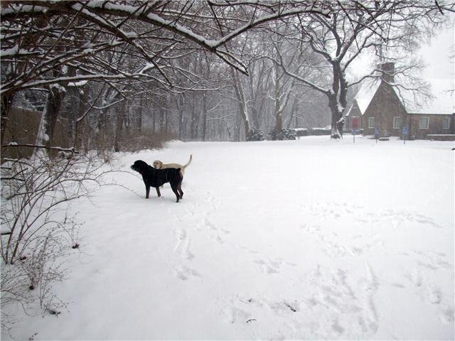 Church in Winter