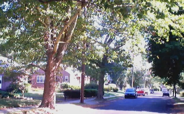 Bingham St. (From Rhawn St.)