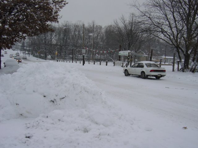 Snow (Verree & Solly Ave.)