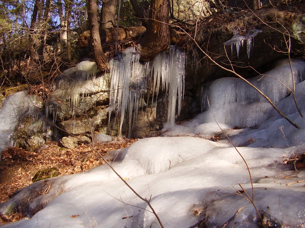Frozen groundwater in Lorimer