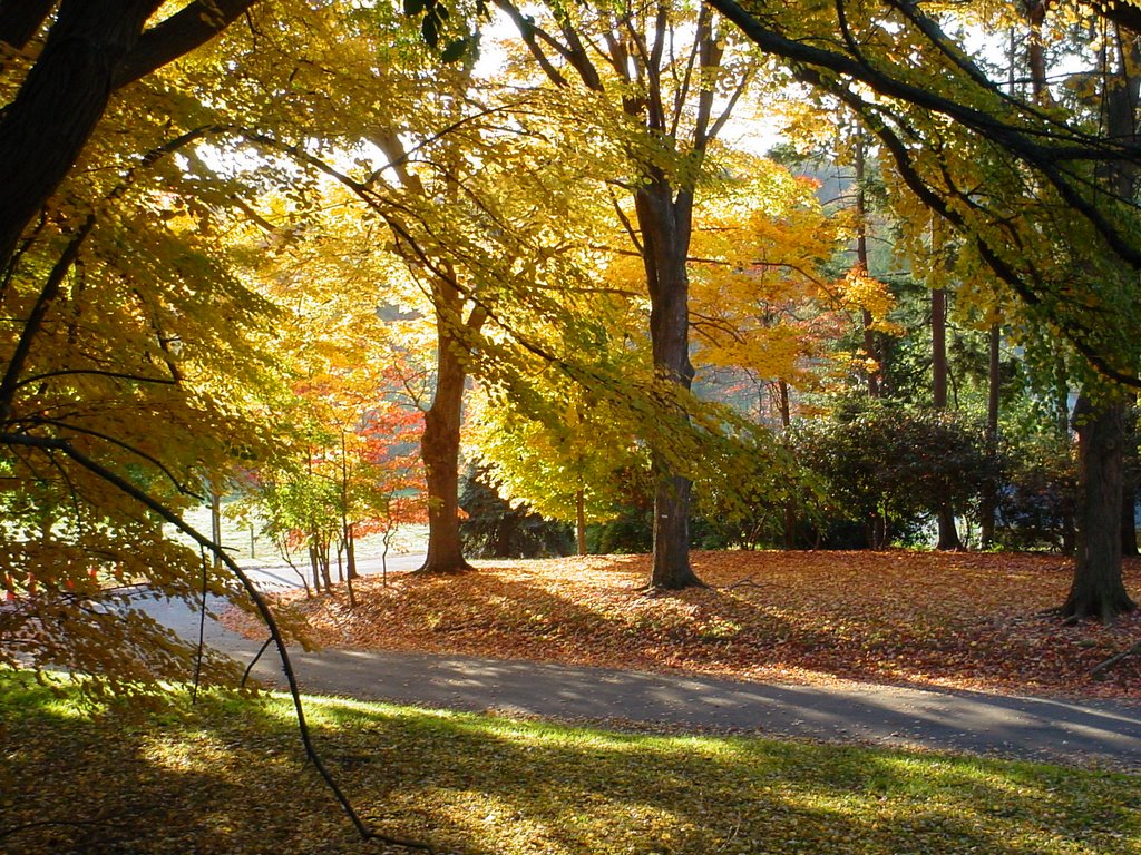 Fall Scene at Fox Chase Farm