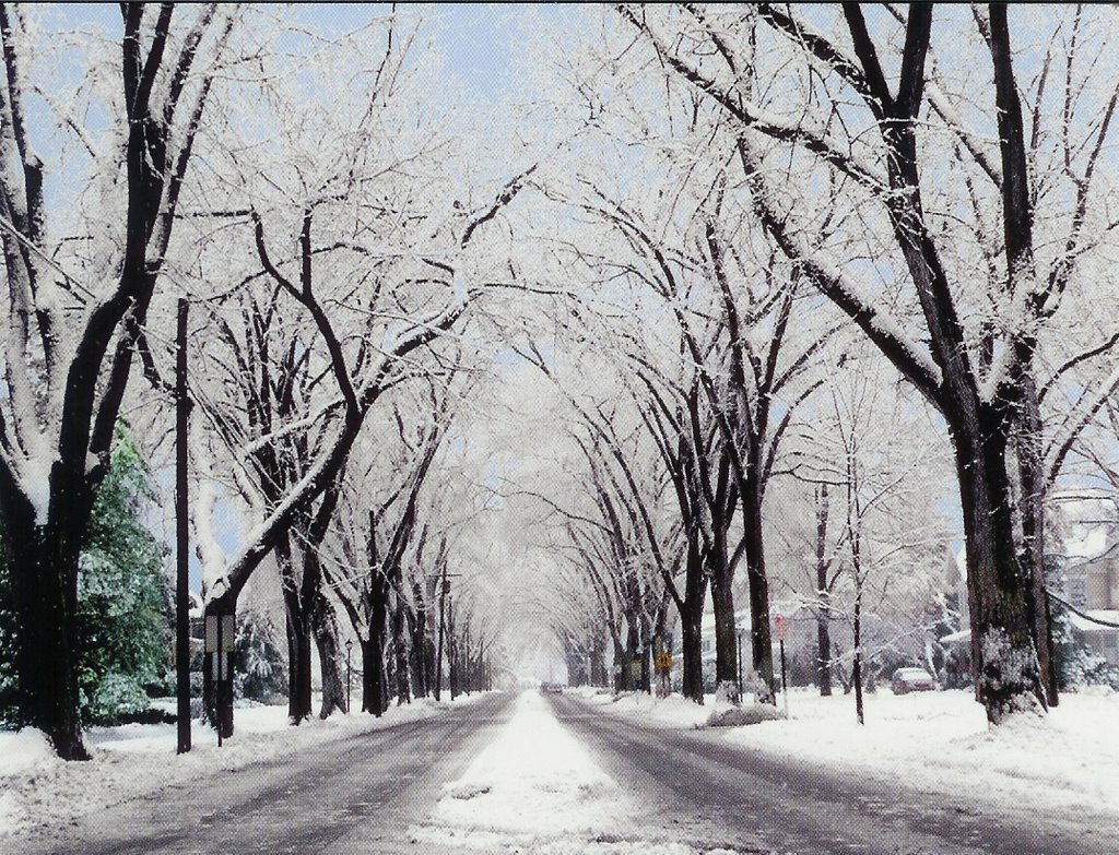 winter lurzerne street in Johnstown