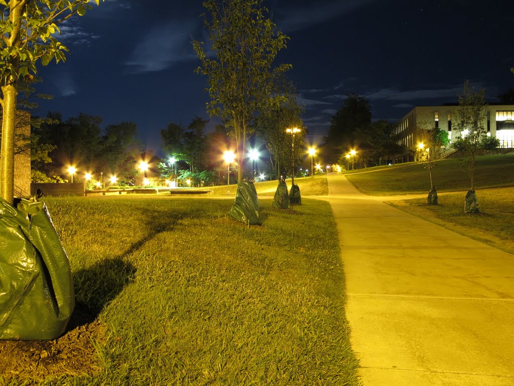 UPJ at Night