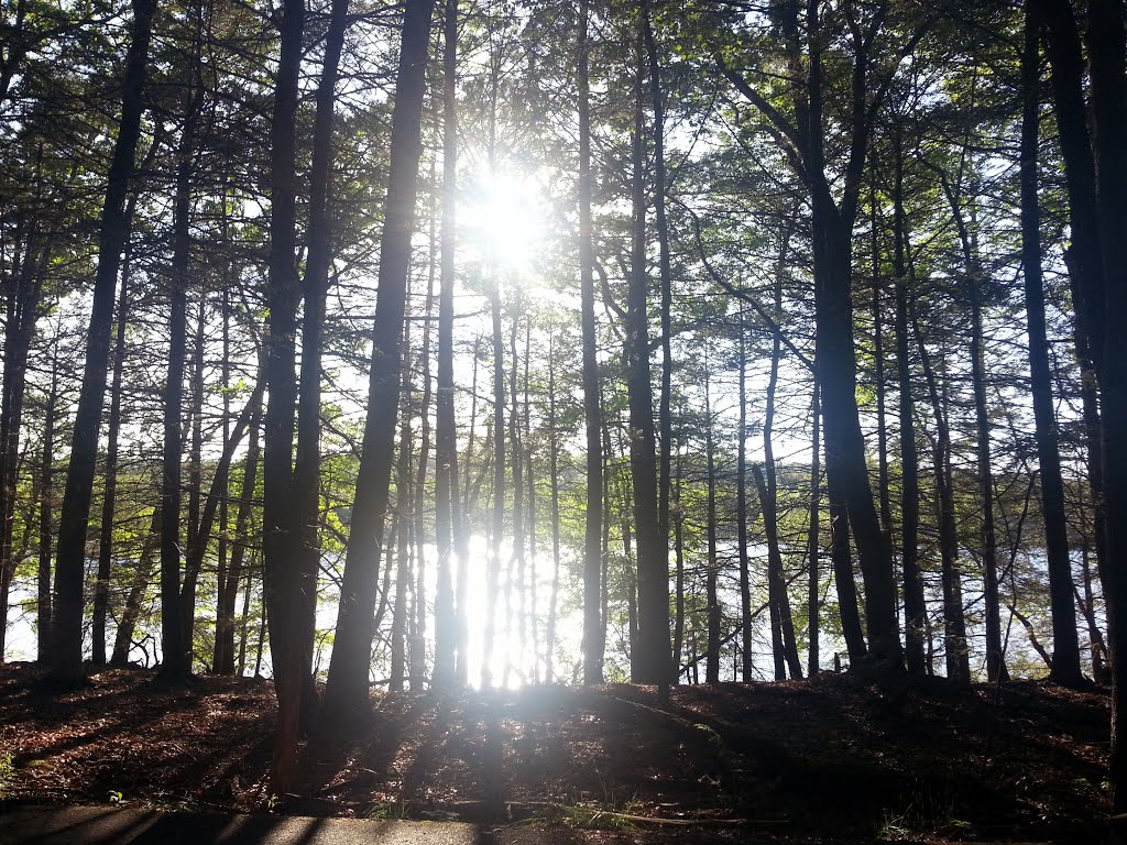 Lake Scranton 2014
