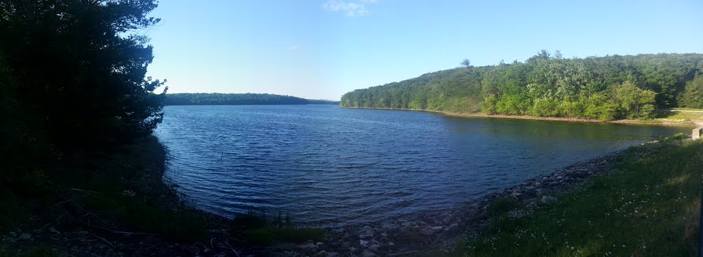 Lake Scranton 2014