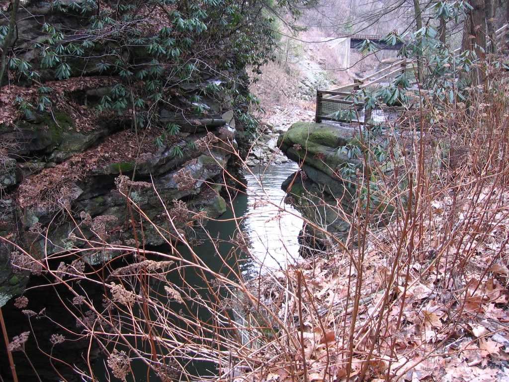 Roaring Brook roars through Nay Aug Gorge in Scranton [008370]