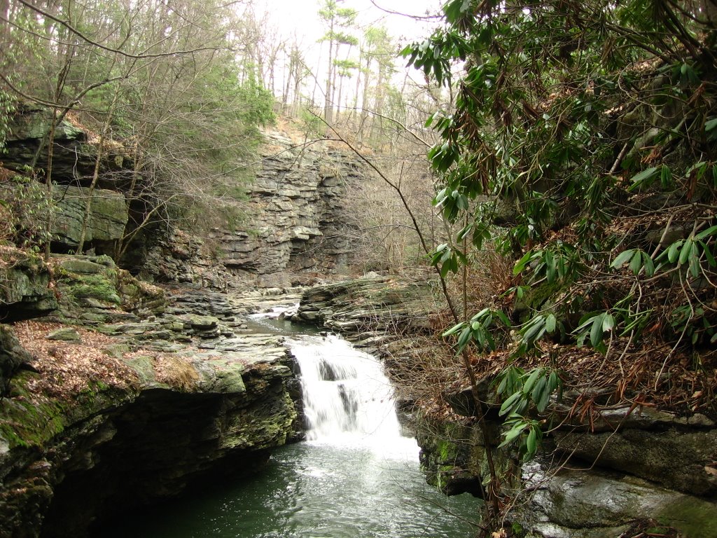 Roaring Brook roars through Nay Aug Gorge in Scranton [008382]