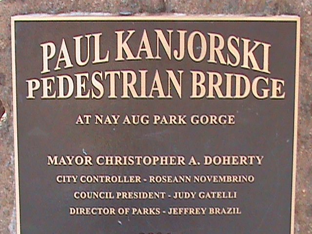 NAY AUG PARK GORGE FOOTBRIDGE