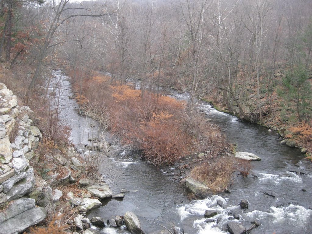 Nay Aug Park (Scranton)