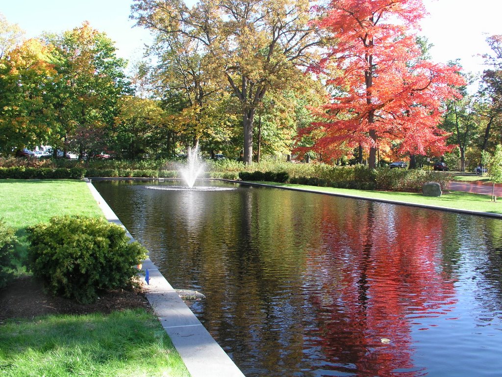REFLECTING POND AT EVERHART MUSEUM
