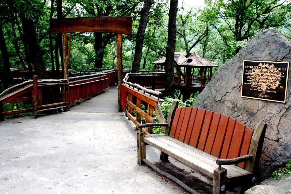 Tree House Entrance