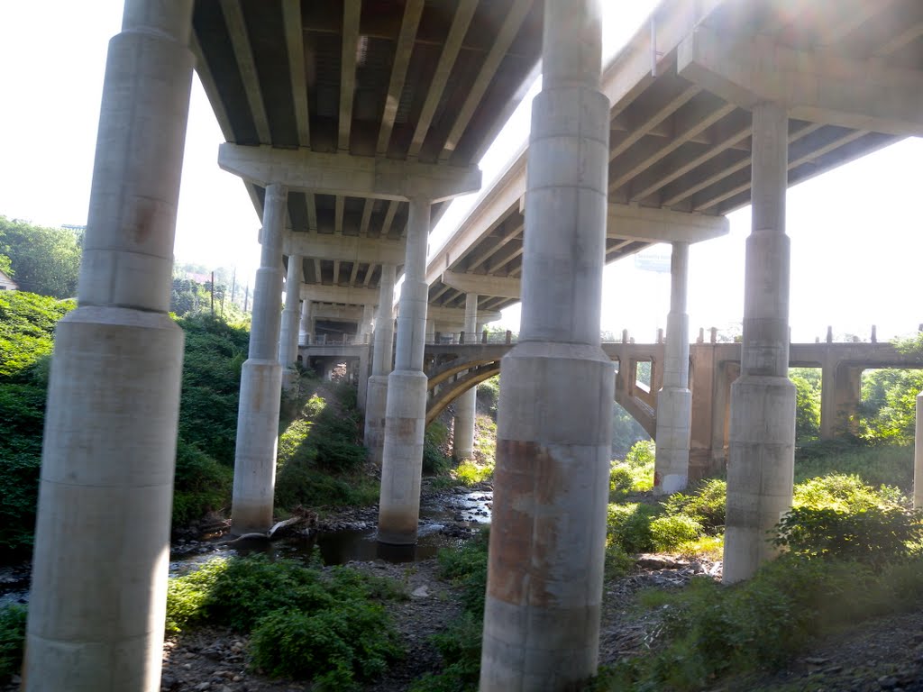 Under Rt 81