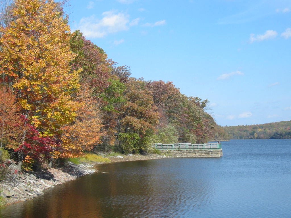 Lookout in Lake Scranton