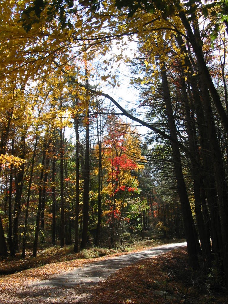 Lake Scranton 2010