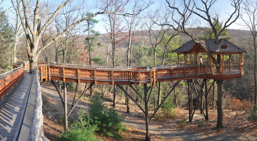 tree house nay aug park scranton pa