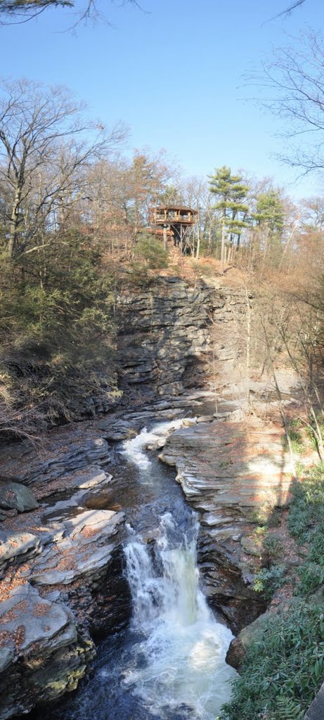 tree house nay aug park scranton pa