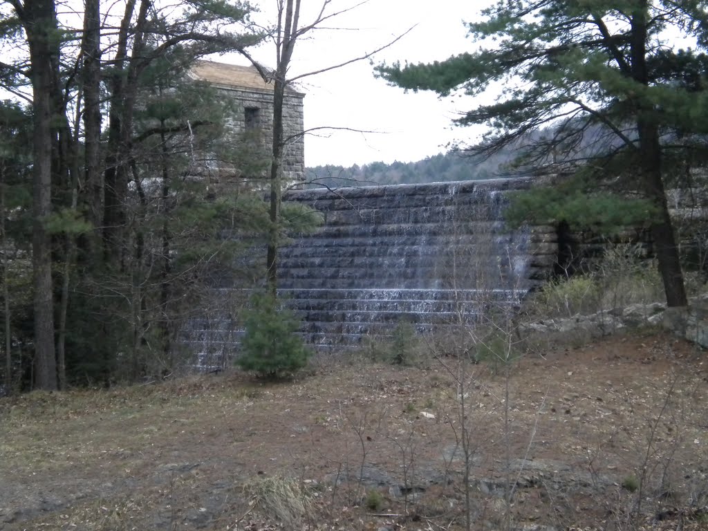#2 res. dunmore