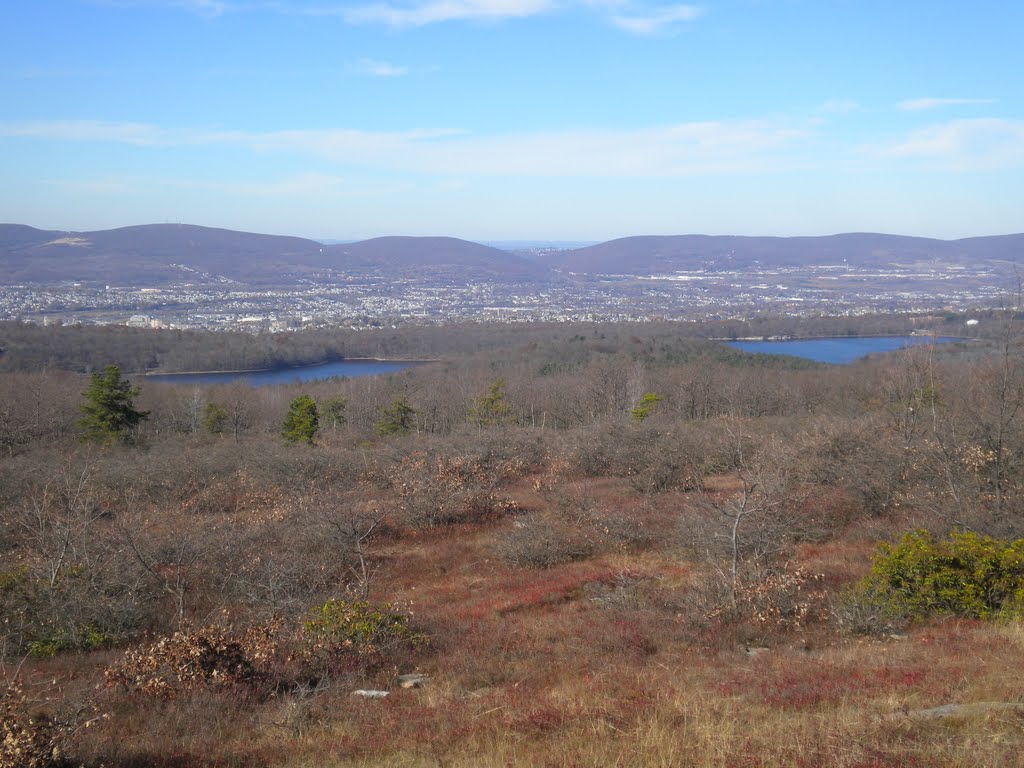 overlooking lake scr.