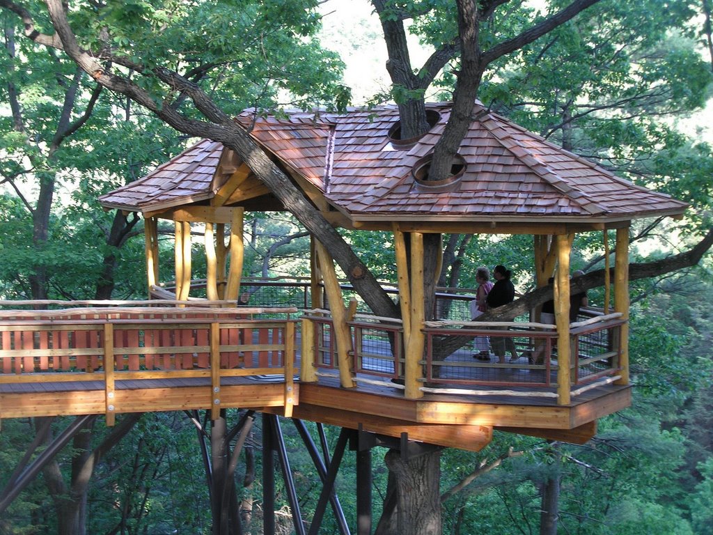 NAY AUG TREEHOUSE