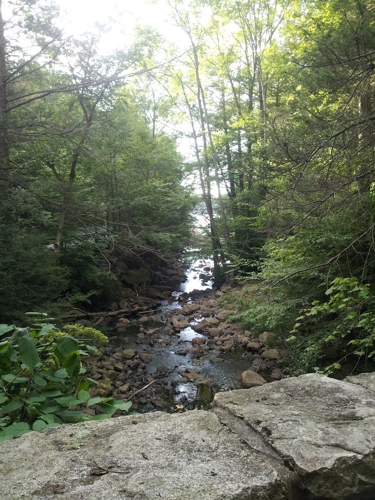 Lake Scranton
