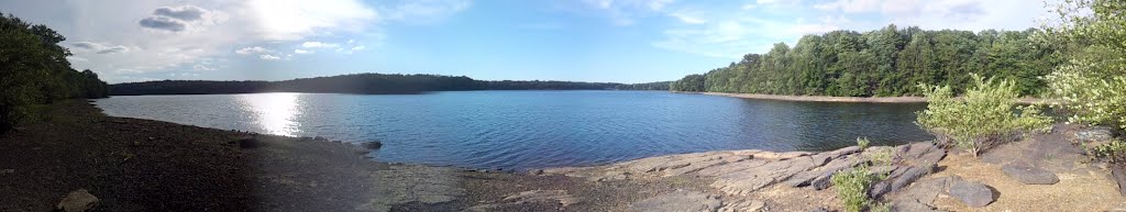 Lake Scranton: Low Water