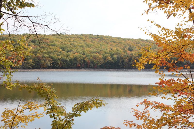 Lake Scranton fall 2012