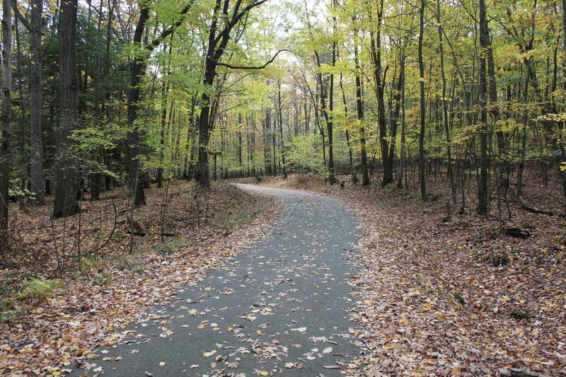 Lake Scranton walking path, fall 2012