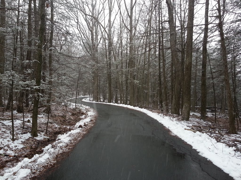 Snowy Trail: Lake Scranton