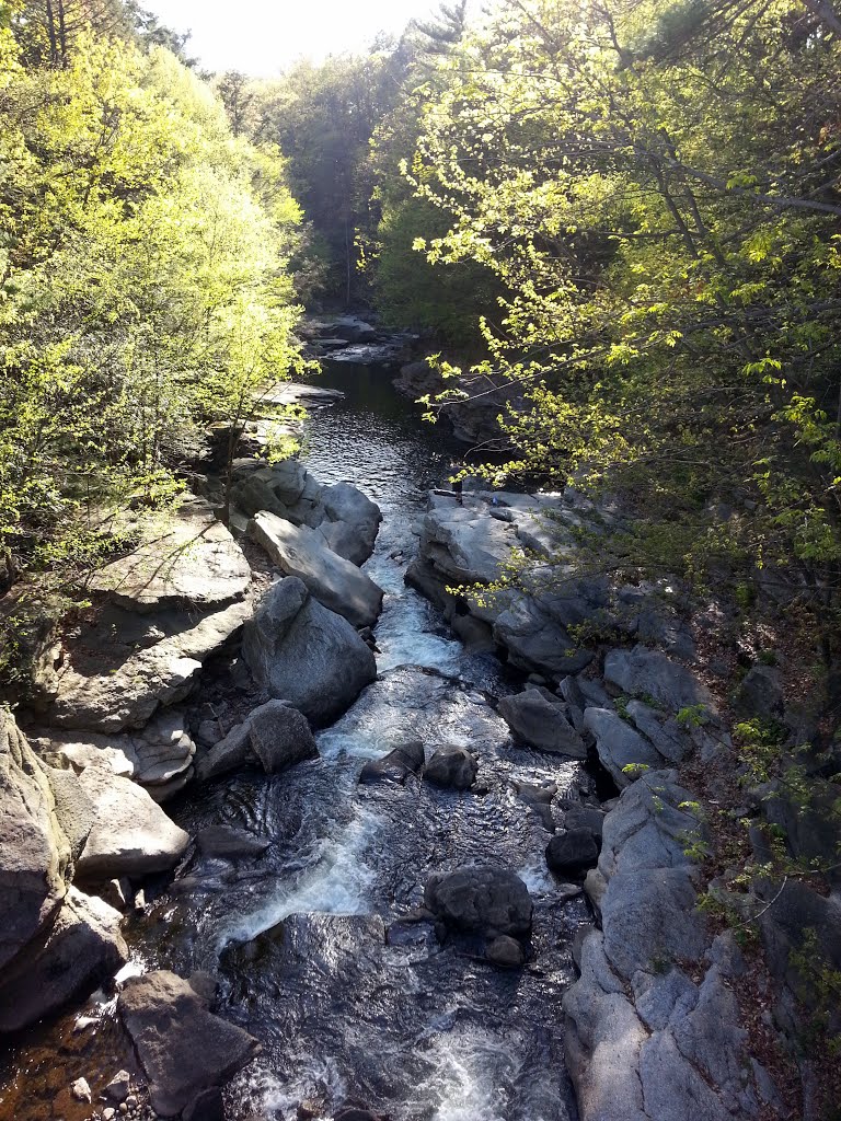 Nay Aug Park