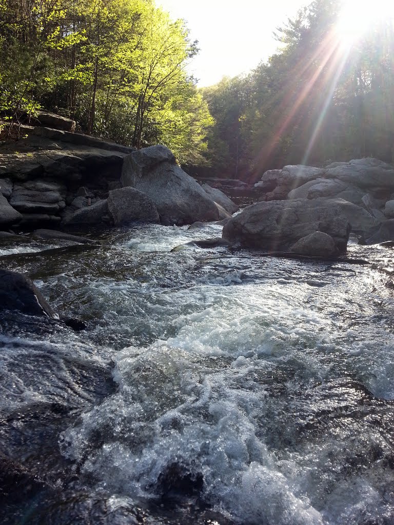 Nay Aug Park