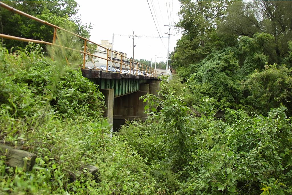 Light Rail Over Darby Creek