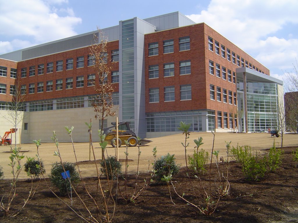 Business Building