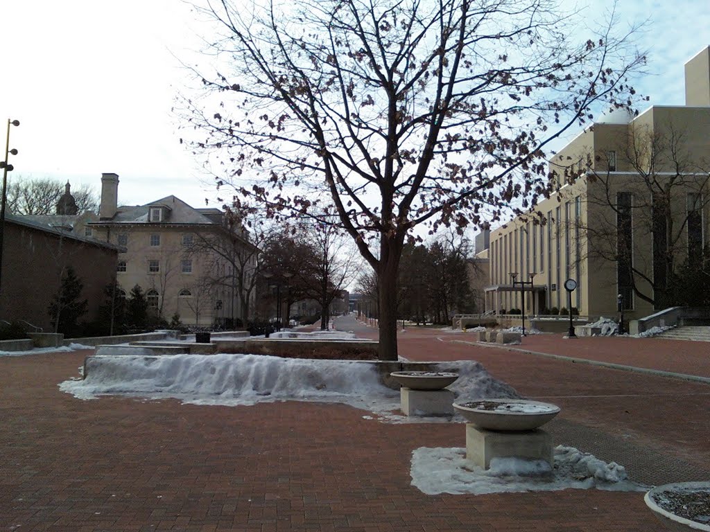 Penn State