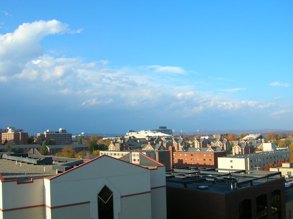 Beaver Terrace