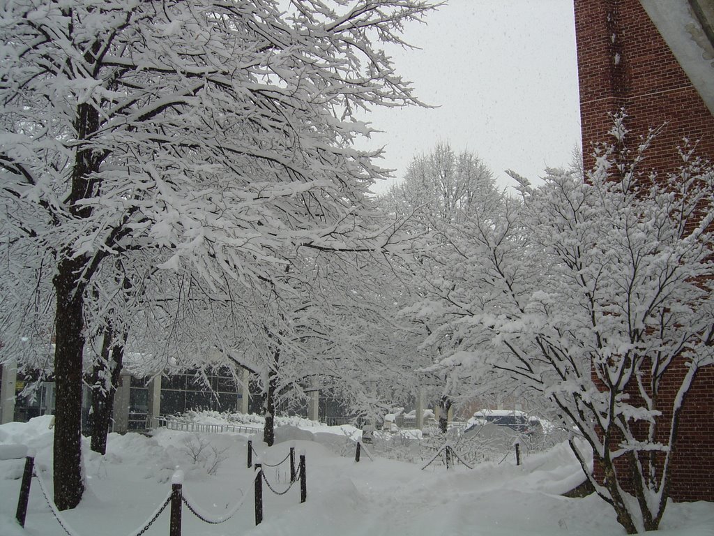 2003 winter from east halls