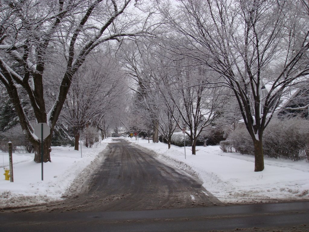 winter in state college