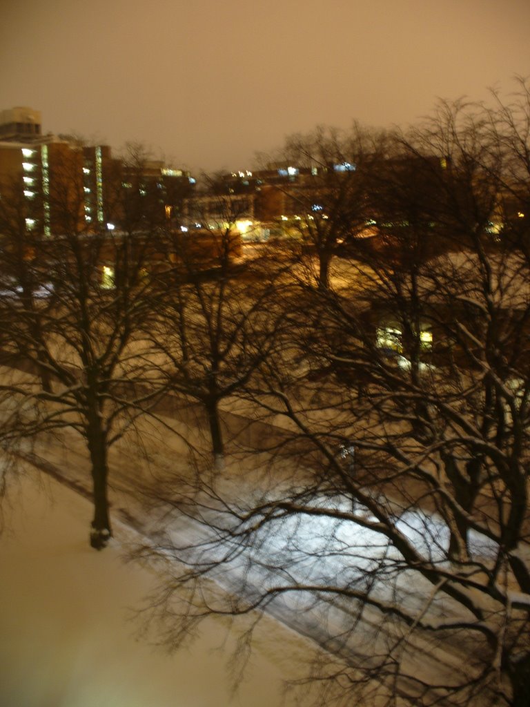 Winter Storm - Midnight - Penn State