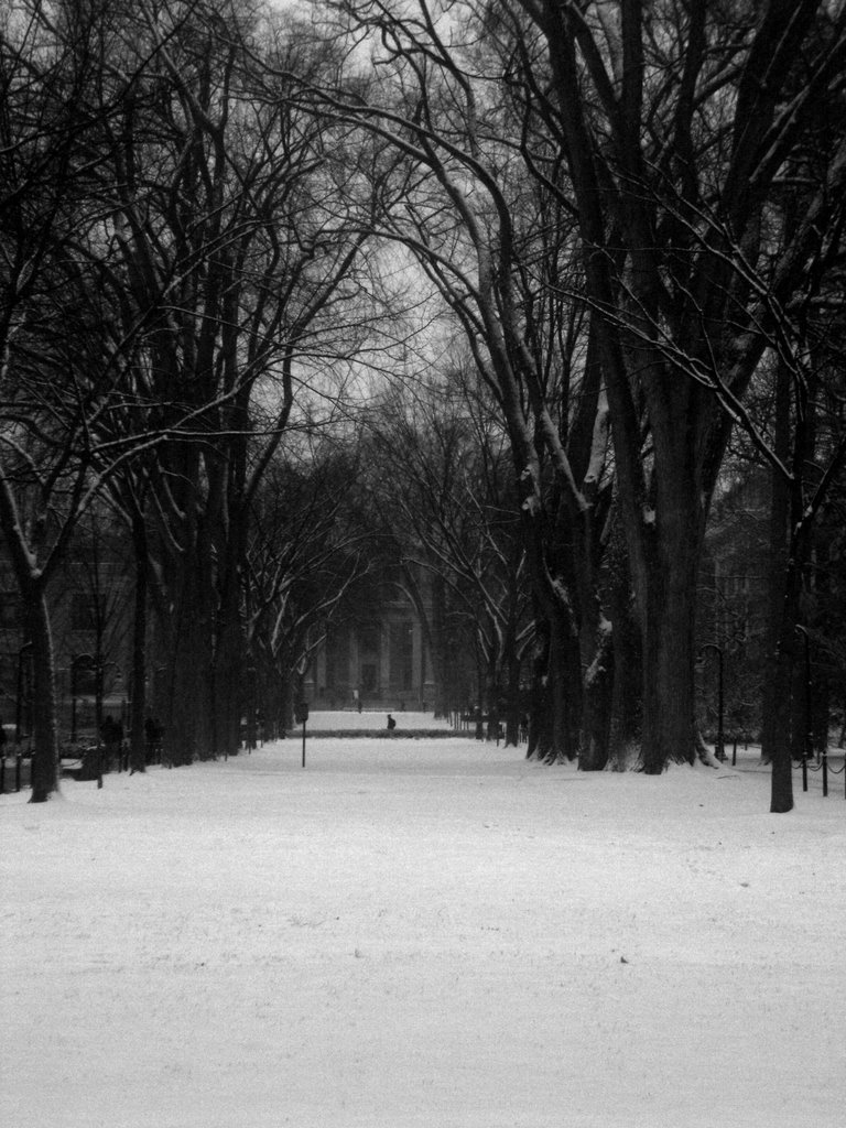 In the Bleak Midwinter