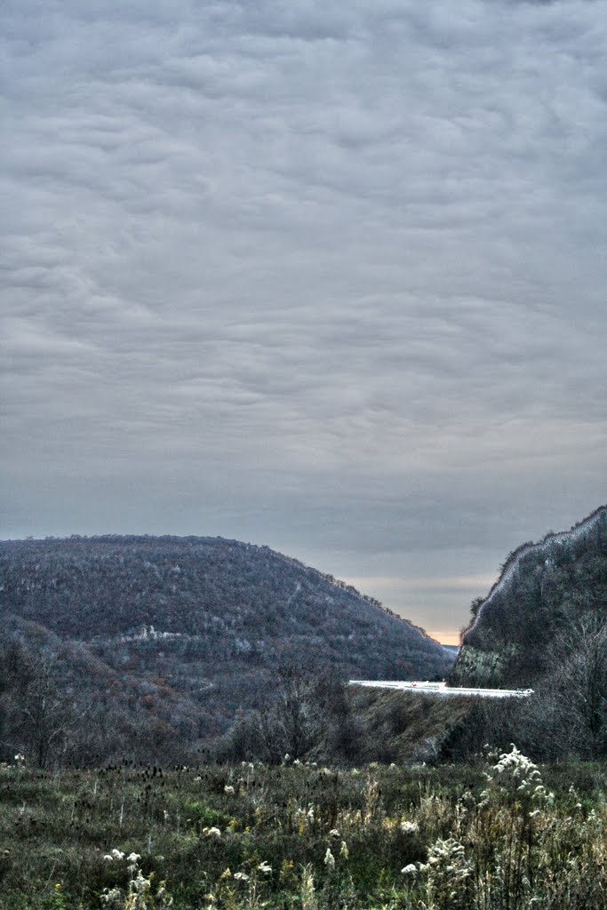 Horseshoe curve