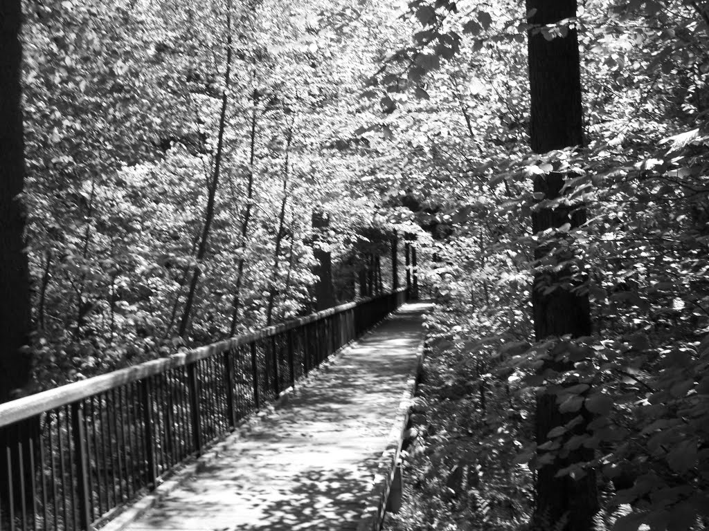 Lemon House and Portage Railroad National Park