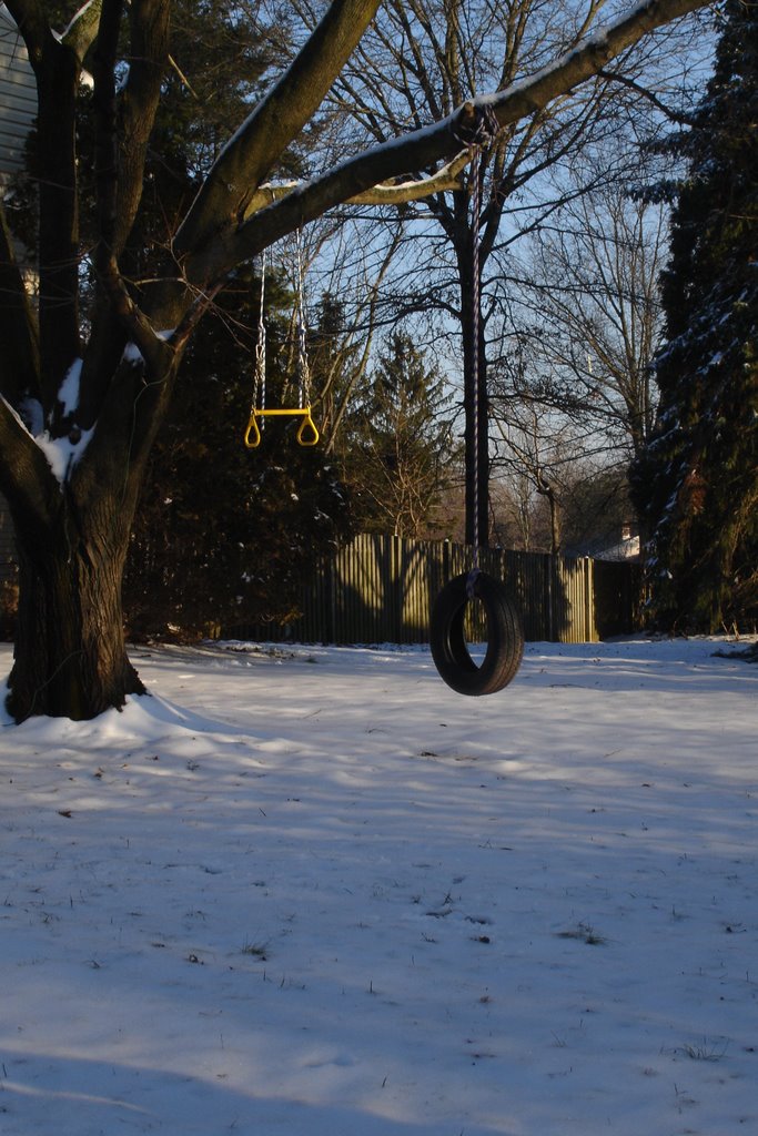 Tire swing in neighborhood