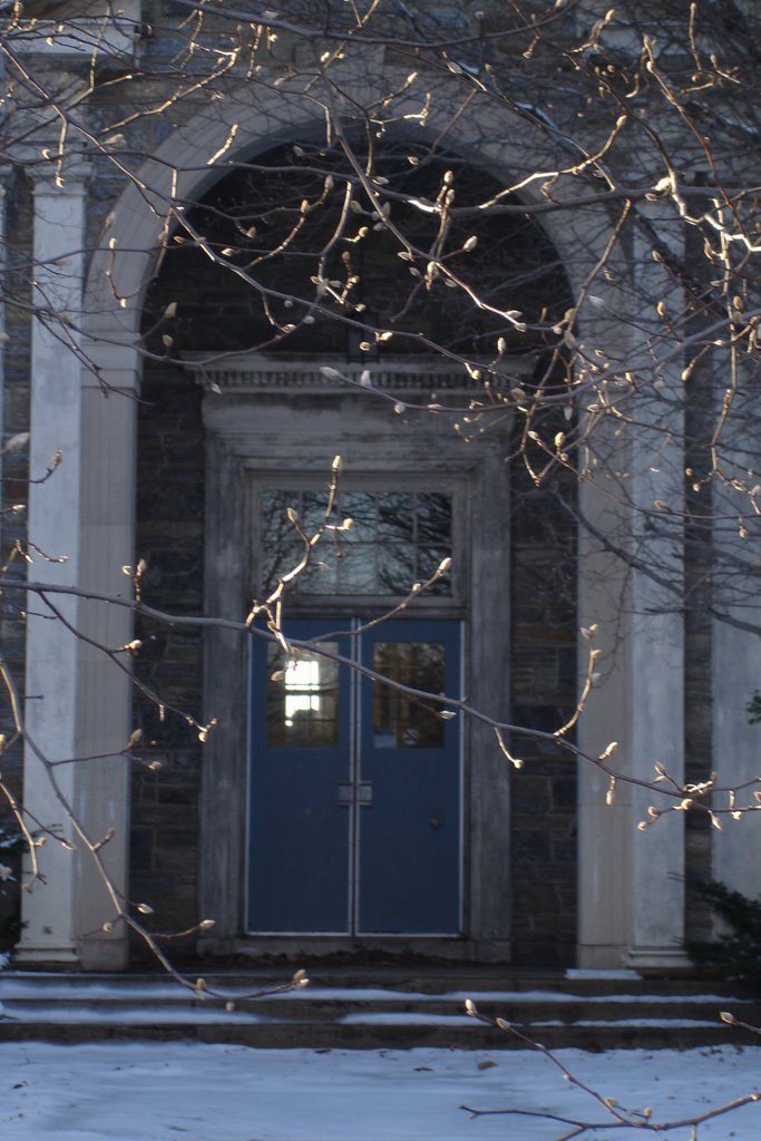 Y Building