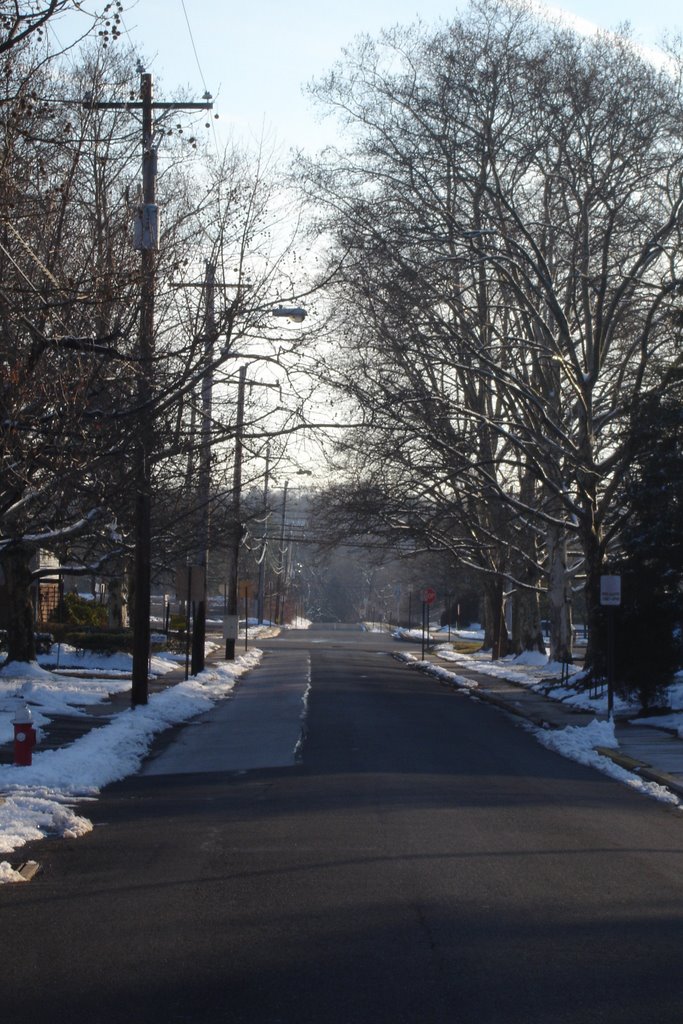 Looking down 1st Ave