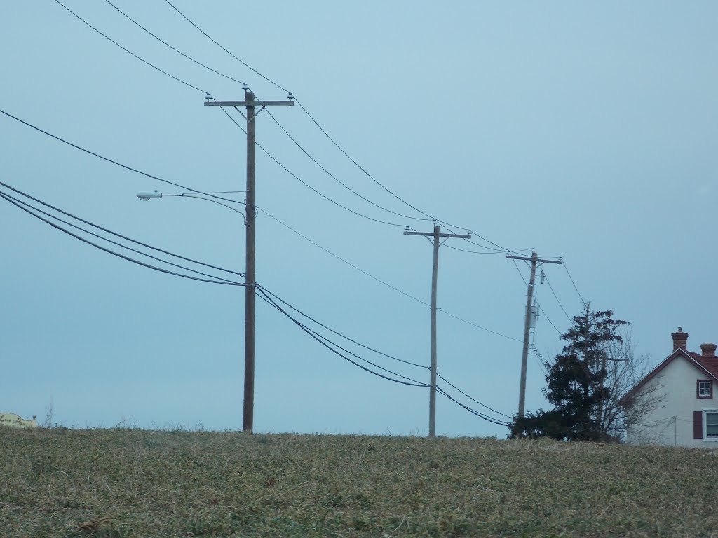 PECO ENERGY: PA Route 113