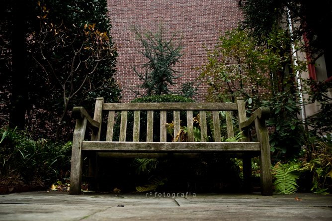 Bench @ Garden of Mütter Museum