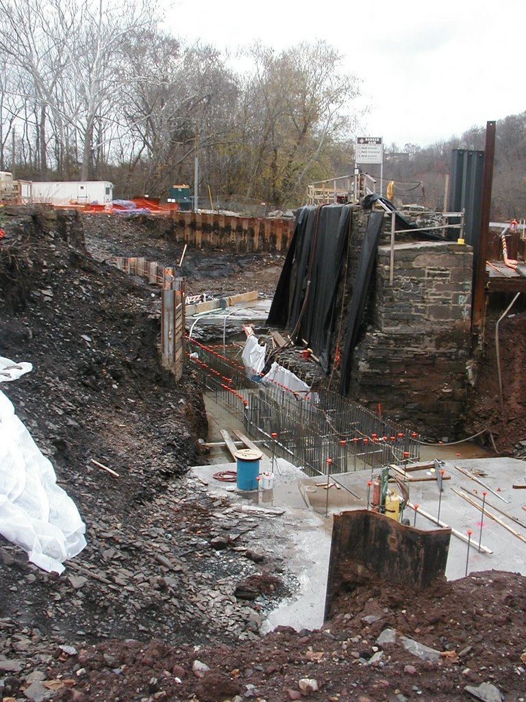 Fish ladder1