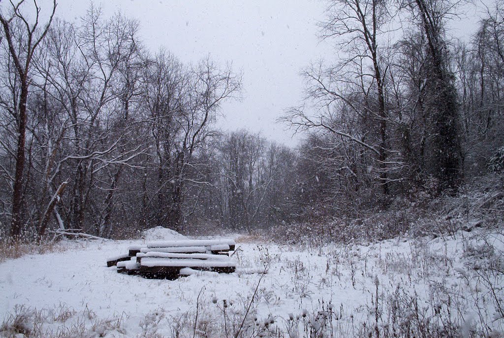 Snowfall