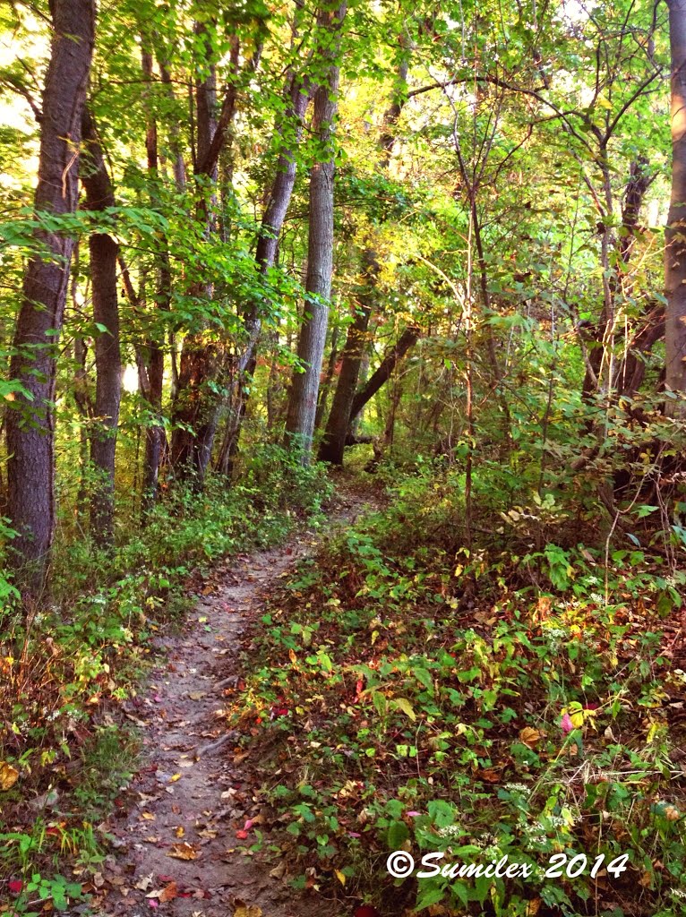 Mingo Park Perimeter Trail - Southwest Portion