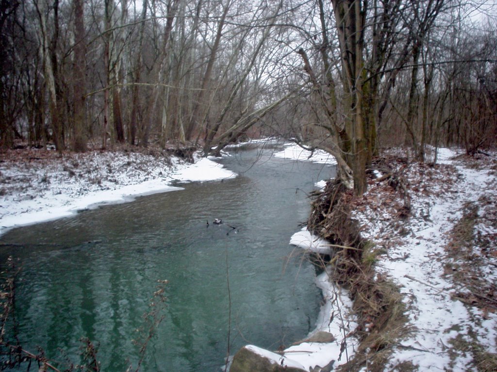 Peters Creek